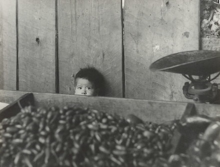 Little Boy with Peppers, Mexico: 1940s Photograph by Carlotta M. Corpron