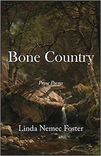 Cover of Bone Country, by Linda Nemec Foster