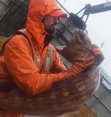 Photo of unidentified fisherman with Wolf eel (March 2021) by Nate Ethan Iszak