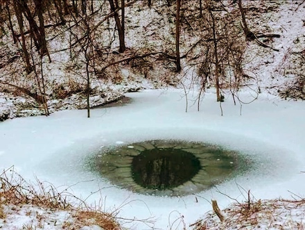 Frozen Lake in Massachusetts (23 February 2019): Photograph by Laura Mitchell