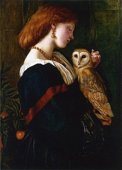 The Owl: 1863 painting by Valentine Cameron Prinsep