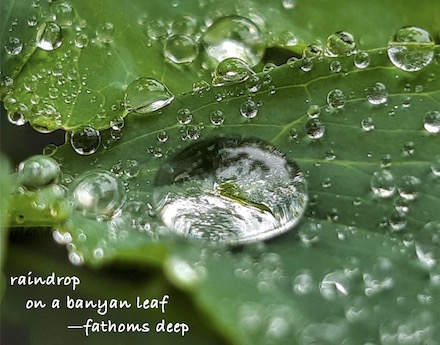 Untitled [raindrop] shahai with photograph by Cáit O’Neill McCullagh and haiku by Brian Kates