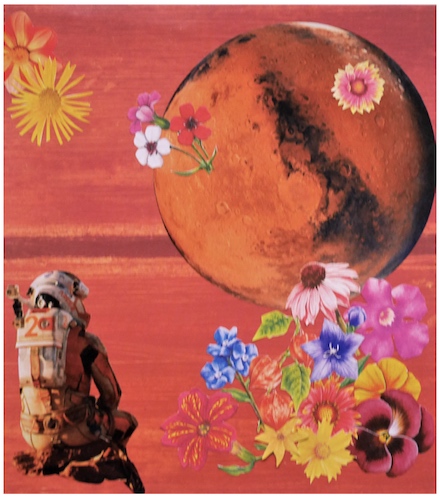 Growing Flowers on Mars, 2023: Paper collage artwork by Jane Salmons