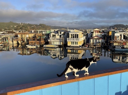 Pierre walking the ledge: Photograph by Guy Biederman