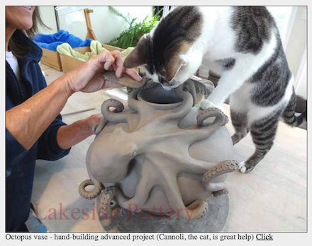 Octopus vase in progress: Pottery by Patty Storms, assisted by Cannoli the cat