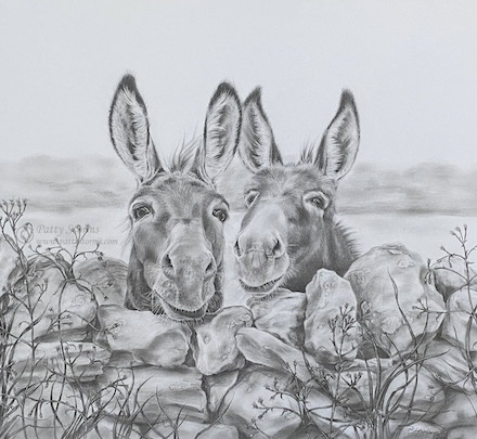 Two Donkeys (March 2024): Graphite pencil drawing by Patty Storms