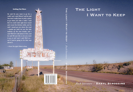 Full cover of The Light I Want to Keep by Daryl Scroggins