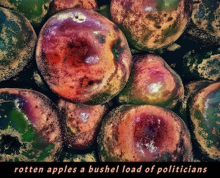(rotten apples): Shahai (photograph + haiku) © by Mark Meyer