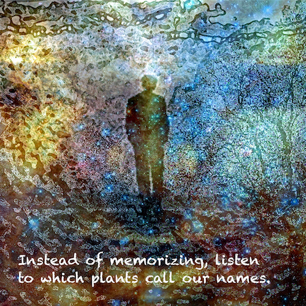 (M4: Instead of memorizing): Visual Poem © 2025 by Kendall Johnson