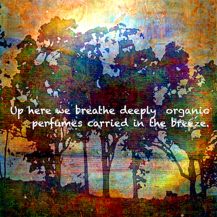 (M5: Up here we breathe): Visual Poem © 2025 by Kendall Johnson