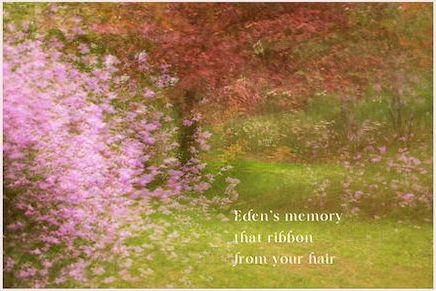 Untitled shahai (Eden’s memory): Poem and photograph by Darlene O’Dell
