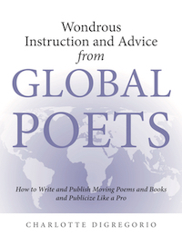 Cover of Wondrous Instruction and Advice from Global Poets