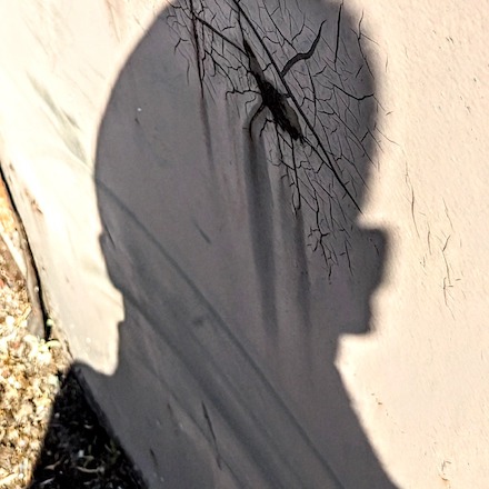 Self-Portrait 5: Photograph © by Scott Ferry