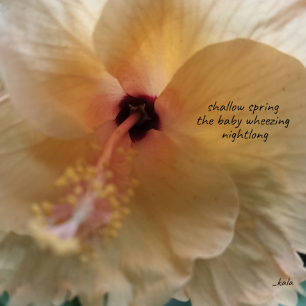 Shahai (shallow spring): Haiku and photograph © by Kala Ramesh
