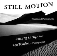 Cover of Still Motion: Poems and Photographs