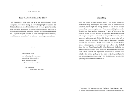 Dark News II from Fireflies 4 book by Kendall Johnson