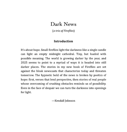 Dark News Intro from Fireflies 4 book by Kendall Johnson