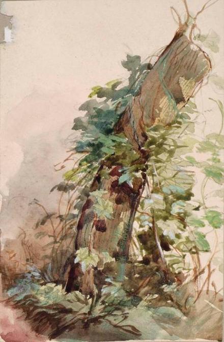 Ivy Covered Tree Stump: Pencil and watercolor (1847) by John Phillip