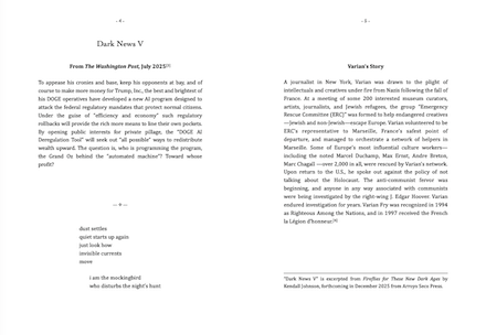 Dark News V from Fireflies 4 book by Kendall Johnson