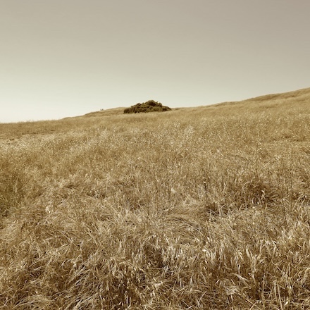Hillside (2025): Sepia photograph © by Kendall Johnson