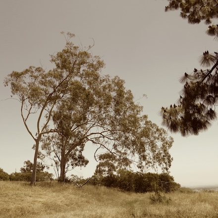 Looking East (2025): Sepia photograph © by Kendall Johnson