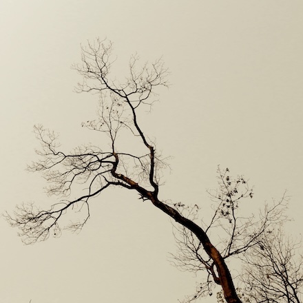 Reach (2025): Sepia photograph © by Kendall Johnson