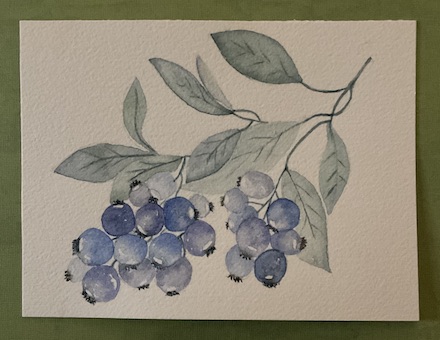 Blueberries: 2025 watercolor painting by Susan Tekulve