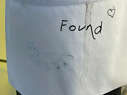 Happy Ending (August 2025): Photograph &copy; by Guy Biederman