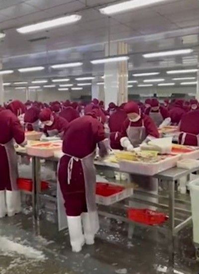 Untitled photo (2023) of North Korean workers in Chinese seafood factory