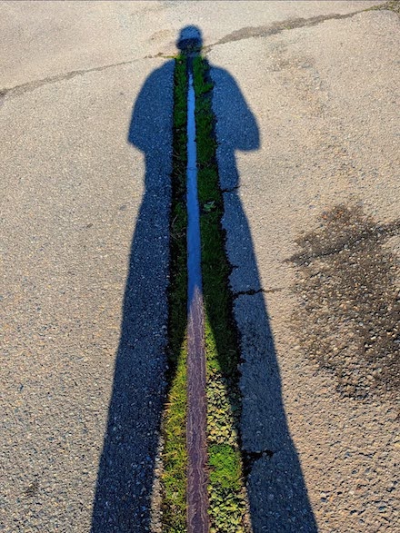 Self-Portrait 8: Photograph &copy; by Scott Ferry