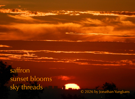 Shahai: Photograph and haiku by Jonathan Yungkans