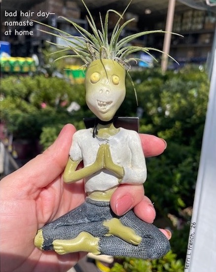 (Line 1: bad hair day): Shahai &copy; by Terri L. French