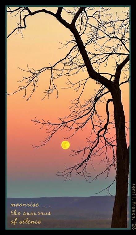 (Line 1: moonrise): Shahai &copy; by Terri L. French