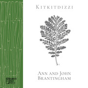 Cover of Kitkitdizzi by Ann and John Brantingham