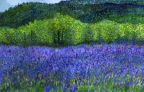 McKenzie River Lavender Farm: watercolor painting (2015) by Joann Carrabbio