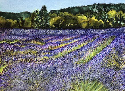 McKenzie River Lavender #2: watercolor painting (2020) by Joann Carrabbio