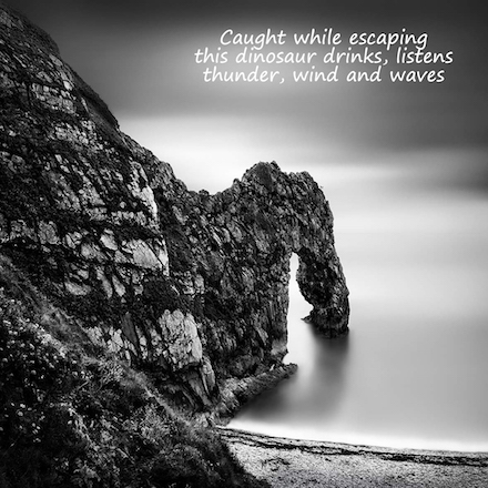 Caught while escaping, with poem by Gary S. Rosin and photo by George Digalakis