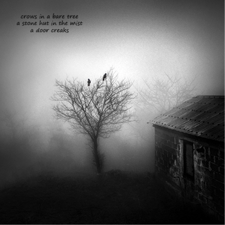 Untitled Haiga [crows]: poem by Gary S. Rosin and photo by George Digalakis