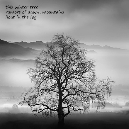 Waiting: Haiga, with photograph by George Digalakis and poem by Gary S. Rosin