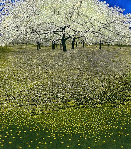 Blossom, etching and aquatint by Phil Greenwood