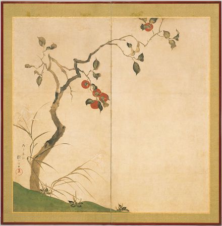 Persimmon Tree: Ink and color on paper (1816) by Sakai Hoitsu