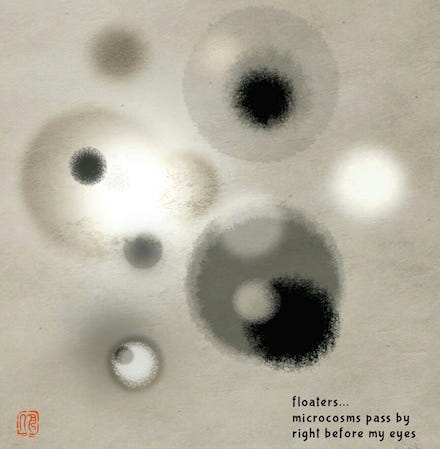 floaters: haiga (poem and digital art) by Mark Meyer