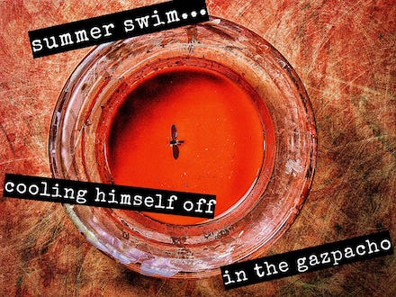 summer swim, haiga (poem and photograph) by Mark Meyer