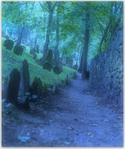 Untitled photograph of graveyard in Czechia by Vladimir Mokry (2 Sept. 2014)