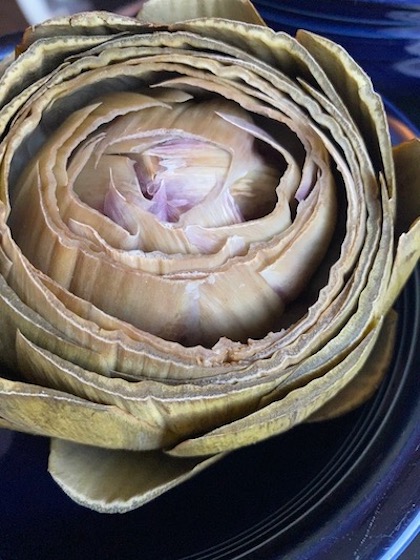 Photograph of Artichoke by Alexis Rhone Fancher