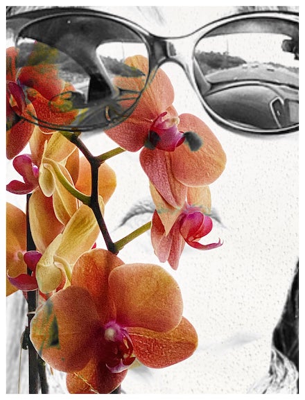 Self-Portrait with Orchids by Alexis Rhone Fancher