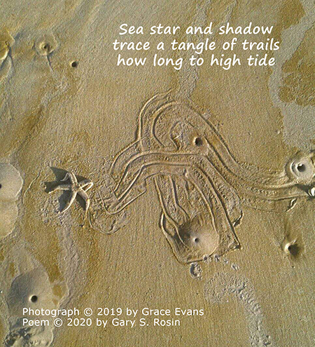 Star trails, haiga with poem by Gary S. Rosin and photo by Grace Evans