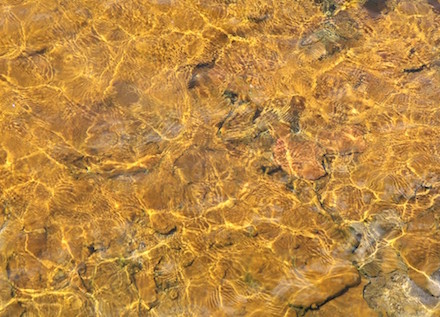 Photograph of water in sunlight at Yellowstone, by Cindy L. Sheppard