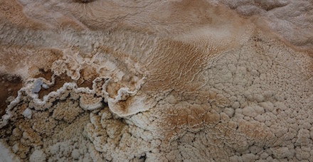 Photograph of geothermal feature at Yellowstone, by Cindy L. Sheppard