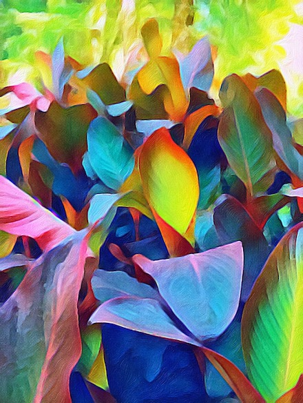 Canna Abstract: Digitalized photograph by Susan Tekulve